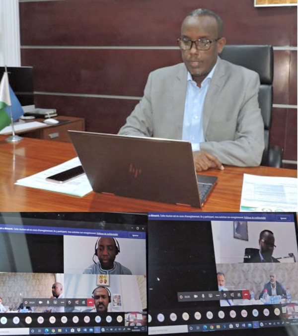 Radwan Abdillahi Bahdon et Moustapha Mohamed Mahamoud coprésident la visioconférence de l’UNESCO