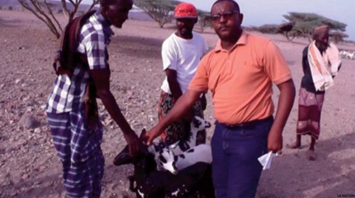 Distribution de caprins de races locales et de caprins de races améliorées aux éleveurs des localités de Lahassa, Guéhéré et Khor-Angar (2)