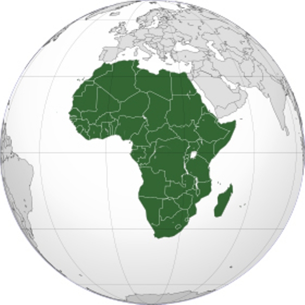 Economie Les atouts et les faiblesses de l’Afrique copy