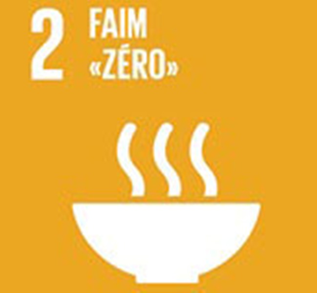 PNUD ODD Objectif 2 Éliminer la faim, assurer la sécurité alimentaire,