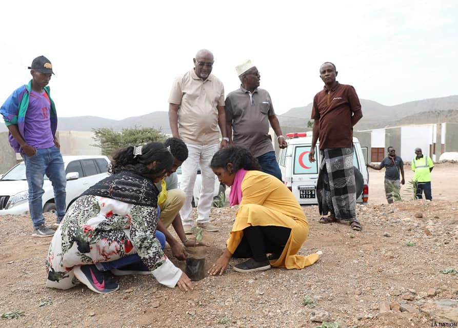 SEJS : des colonies de vacances mémorables au Day