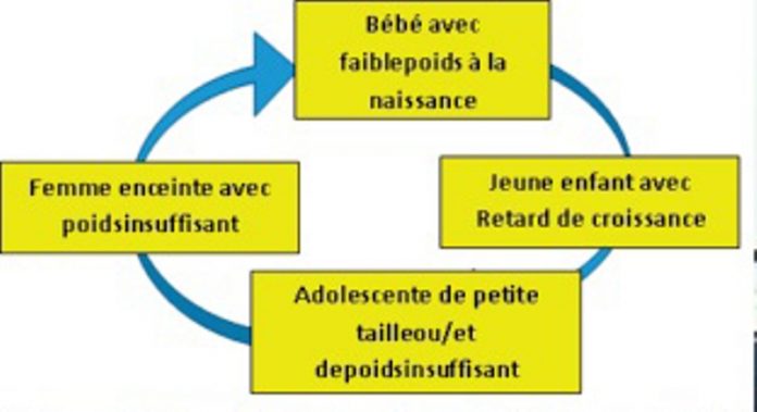 Les FILETS SOCIAUX DE SÉCURITÉ de l’ADDS (2)