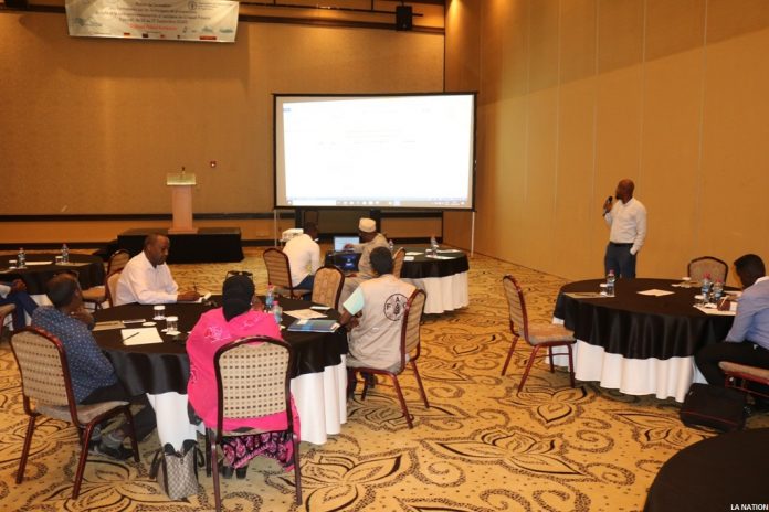 MAEPE-RHFAO - La FAO forme les futurs formateurs en surveillance et lutte contre le Criquet Pèlerin à Djibouti