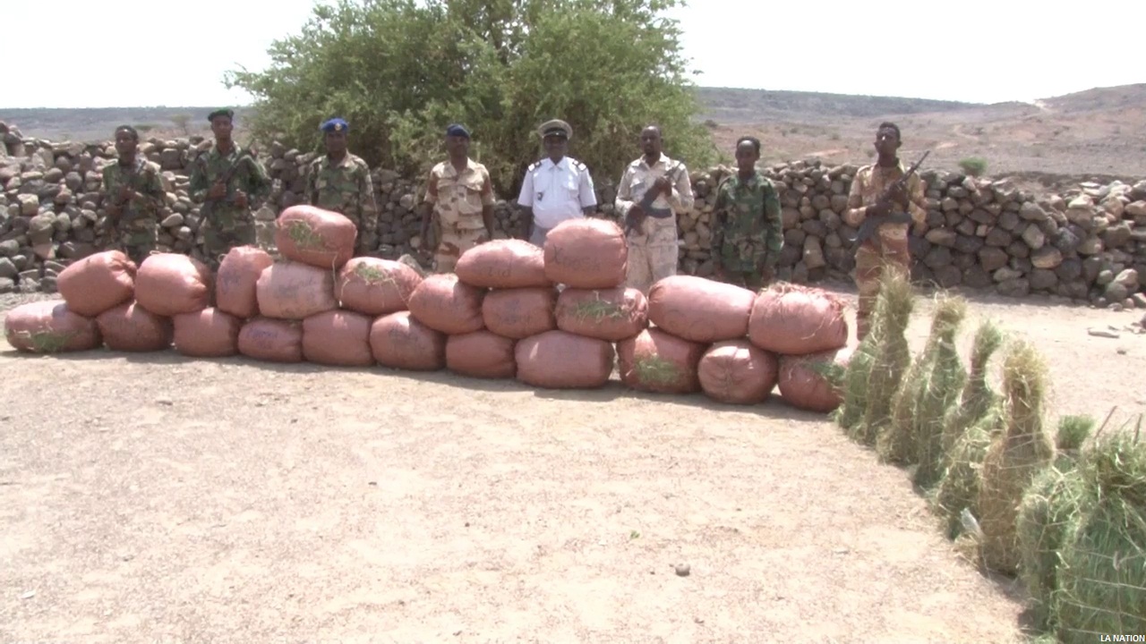 Saisie d’importantes quantités de khat de contrebande dans la région de Dikhil