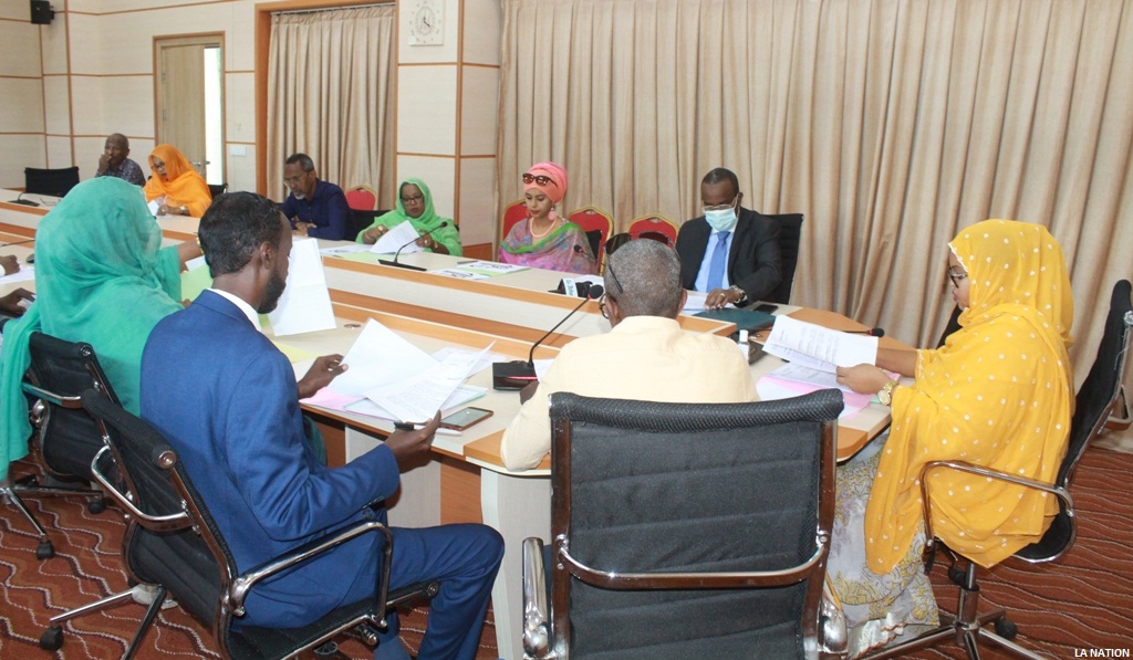 Assemblée nationale : La commission de la législation  analyse le projet de loi portant pluralisme politique lors des campagnes électorales