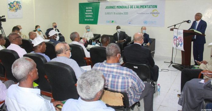 La journée mondiale de l’alimentation célébrée à Djibouti (1)