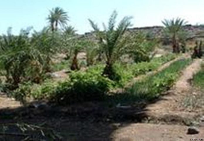 Programme ADIL une véritable manne pour le développement de la région de Dikhil (1)