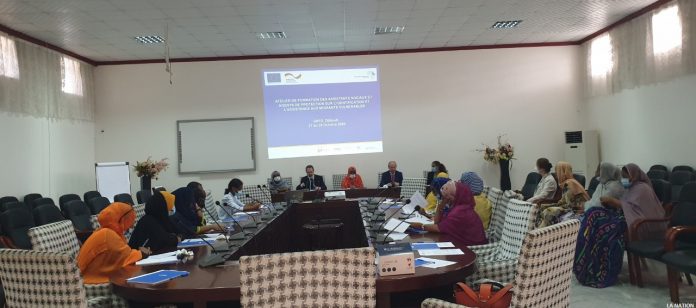 UEOIMGIZBMM Formation sur l'identification et l’assistance aux migrants vulnérables (2)