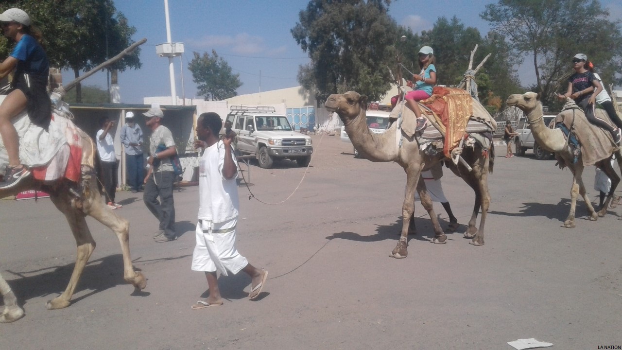 Région d’Ali-Sabieh : Quatrième édition du Raid dromadaire du village millénaire de Daasbiyo