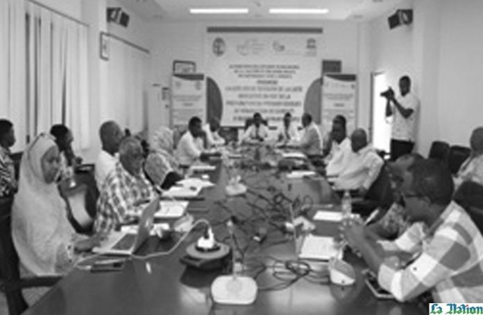 Atelier de révision de la Liste indicative en vue de la préparation du premier dossier de nomination de Djibouti (2)