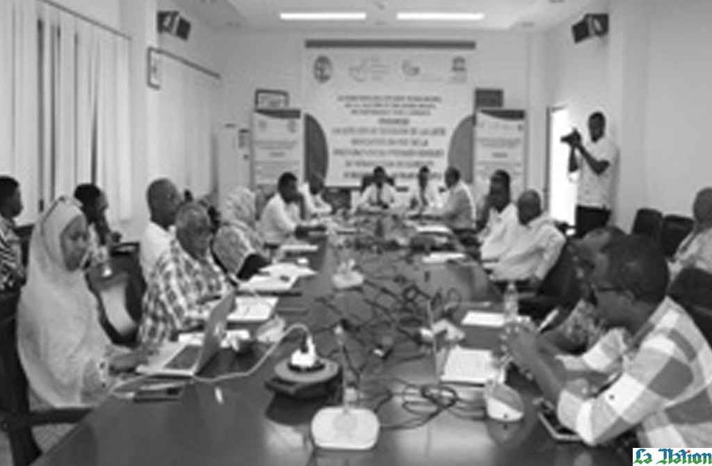 Atelier de révision de la Liste indicative en vue de la préparation du premier dossier de nomination de Djibouti