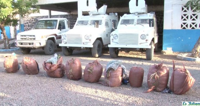 Saisie de 450 kg de khat de contrebande dans la région de Dikhil (2)