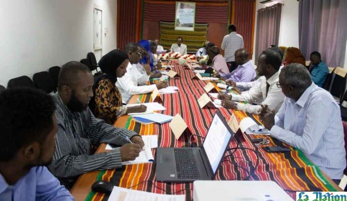 La retraite de travail de la famille de la décentralisation à Obock (2)