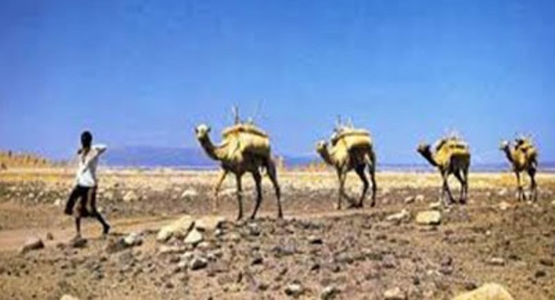 L’industrie salinière à Djibouti