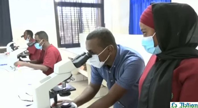 Paludisme formation des laborantins sur le dépistage en laboratoire (2)