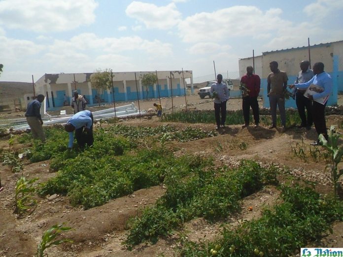 Ali-Sabieh Partage d’expérience entre des écoles rurales de base en matière d’entretien de jardin scolaire (2)