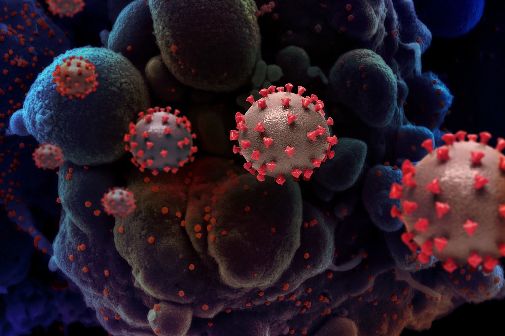 Covid-19 : Les nouveaux variants amplifient une deuxième vague plus meurtrière en Afrique