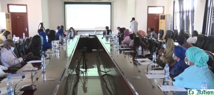 Lancement du document sur la Stratégie Nationale de la Diaspora djiboutienne (2)