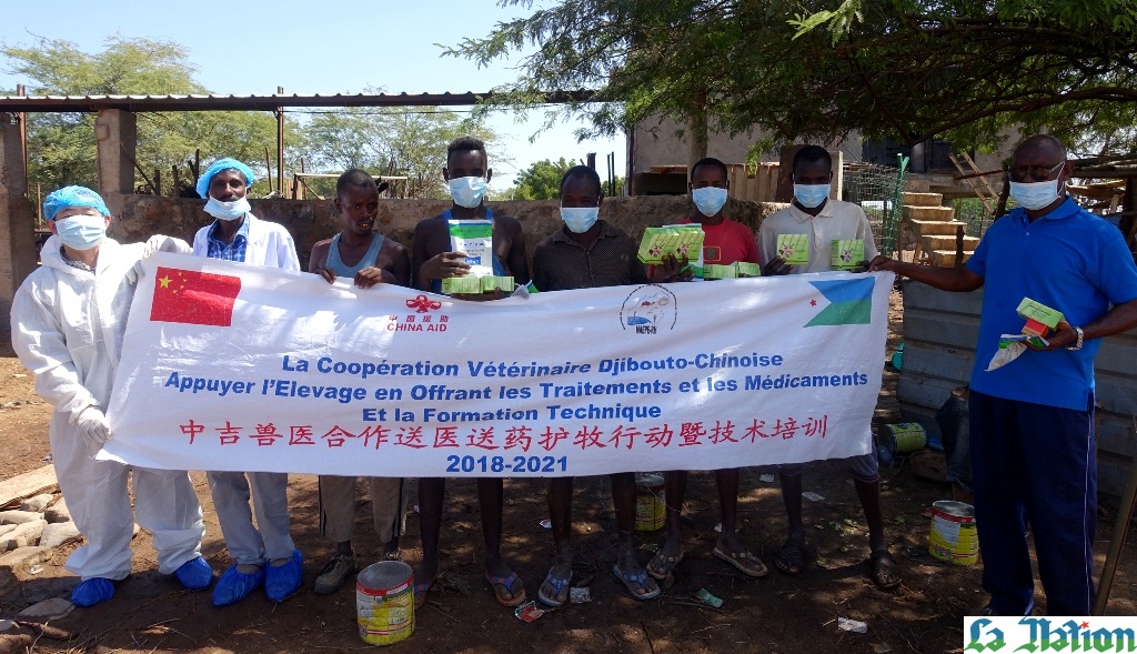 ZOOM : Les résultats fructueux de la coopération technologique vétérinaire sino-djiboutienne