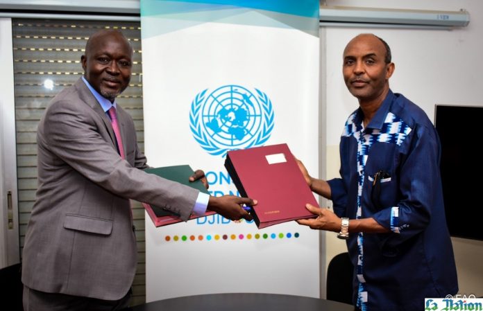 Signature d’une convention entre le ministère de l’Agriculture et la FAO