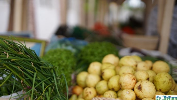 Ali-Sabieh Vers un renforcement des moyens de production des agropasteurs nationaux et leur filière de mise en marché (1)