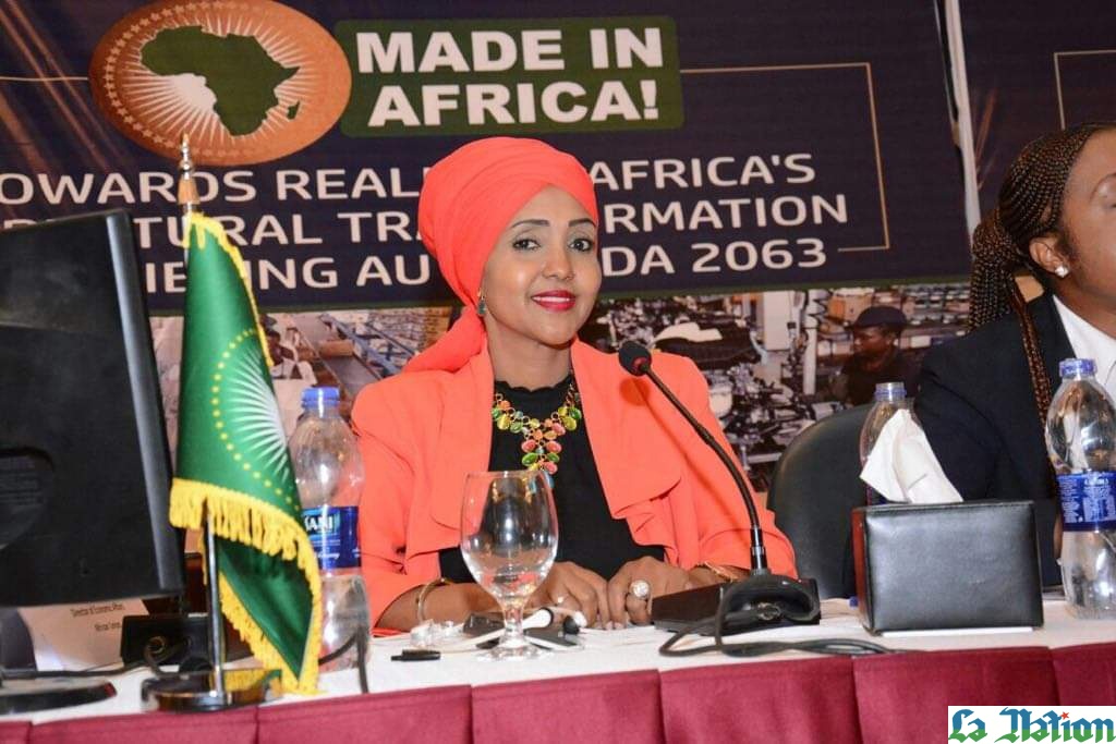 Fédération des femmes d’Affaires et des Professions libérales à Djibouti : Hibo Bacha Hassan nommée présidente