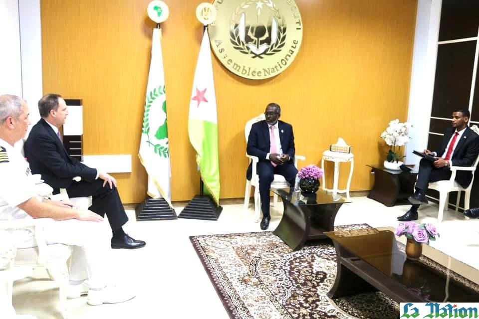 Mohamed Ali Houmed reçoit en visite de courtoisie Jonathan Pratt