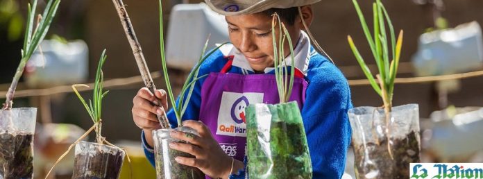 Journée internationale de la terre nourricière