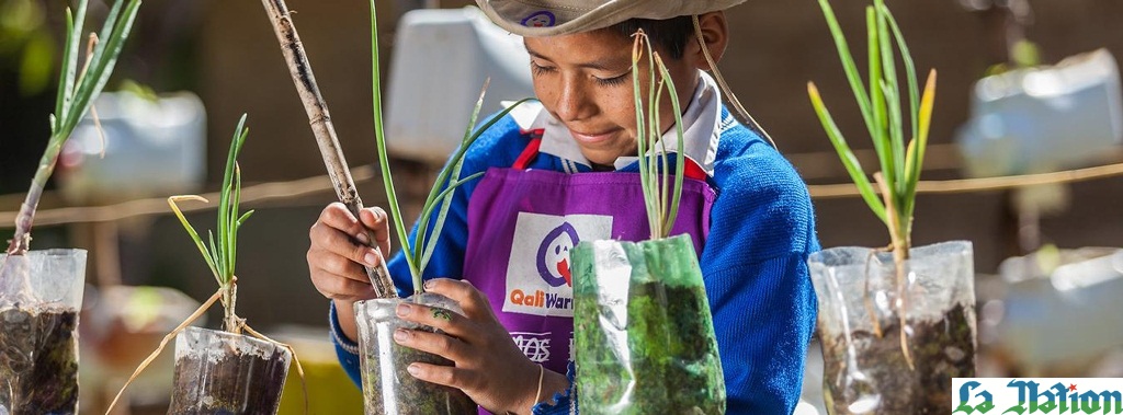 Journée internationale de la terre nourricière : Sauvons notre planète !