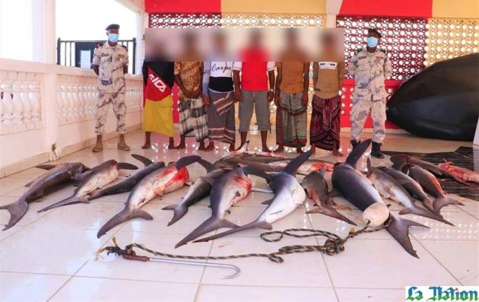La Garde-côtes intercepte une embarcation en activité de pêche illégale