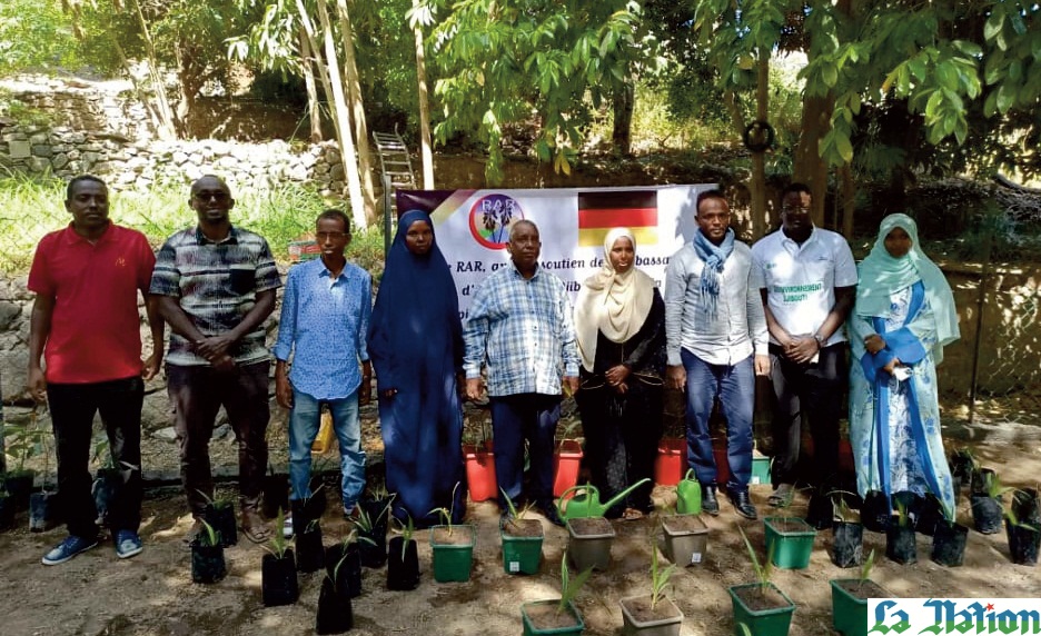 Une pépinière expérimentale pour les palmiers de Bankoualeh