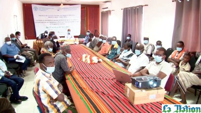 Criquets pèlerins Obock au cœur de la lutte antiacridienne