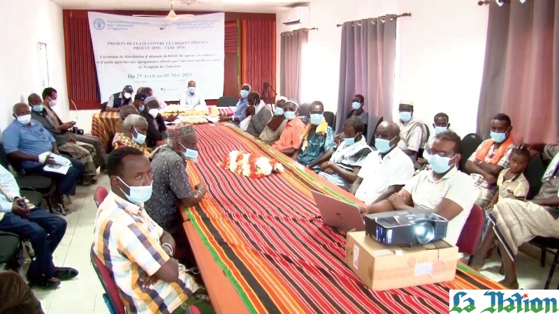 Criquets pèlerins : Obock au cœur de la lutte antiacridienne