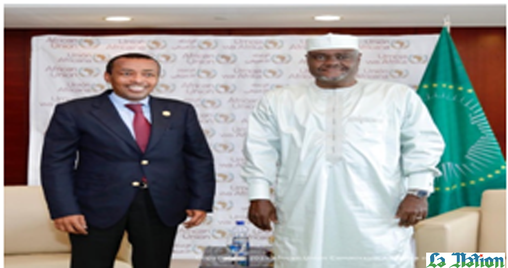 Le chef de l’Etat rwandais reçoit l'ambassadeur Mohamed Idriss Farah, en fin de mission