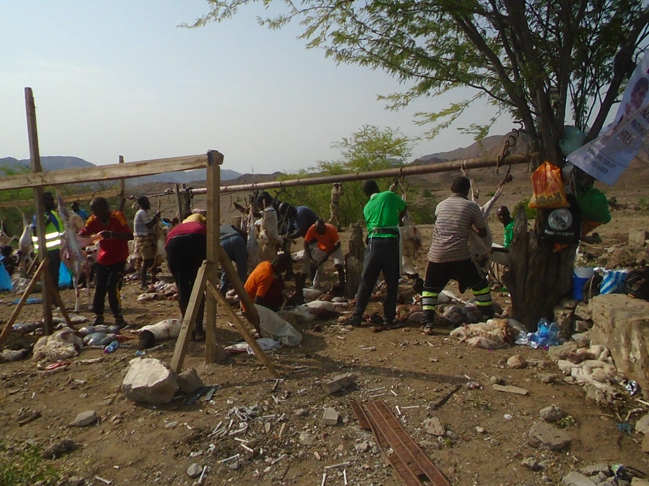 Ali-Sabieh : Opération de distribution de viande du sacrifice de l’Aïd-El-Adha et d’autres actions de bienfaisance.