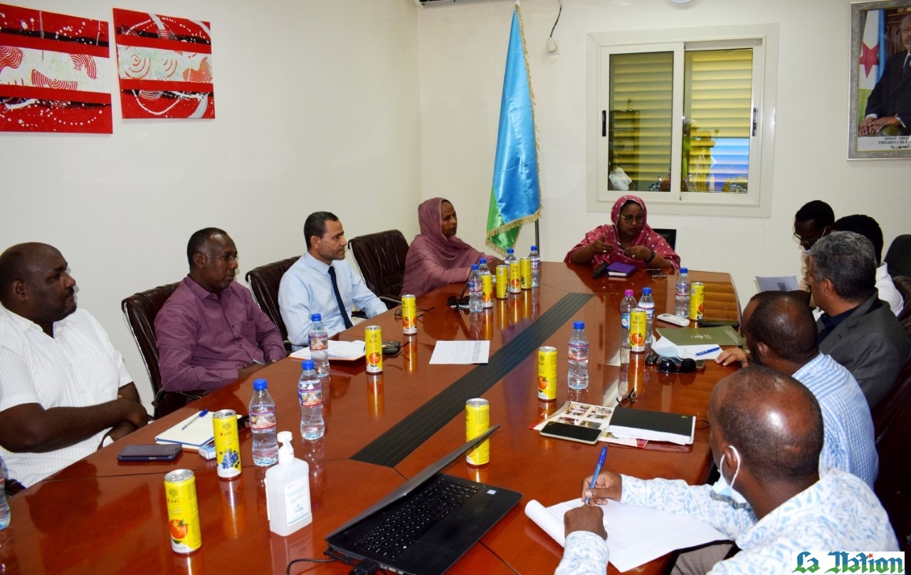 Réunion de travail entre la ministre de la femme et de la famille et les représentants des ONG arabes opérant à Djibouti