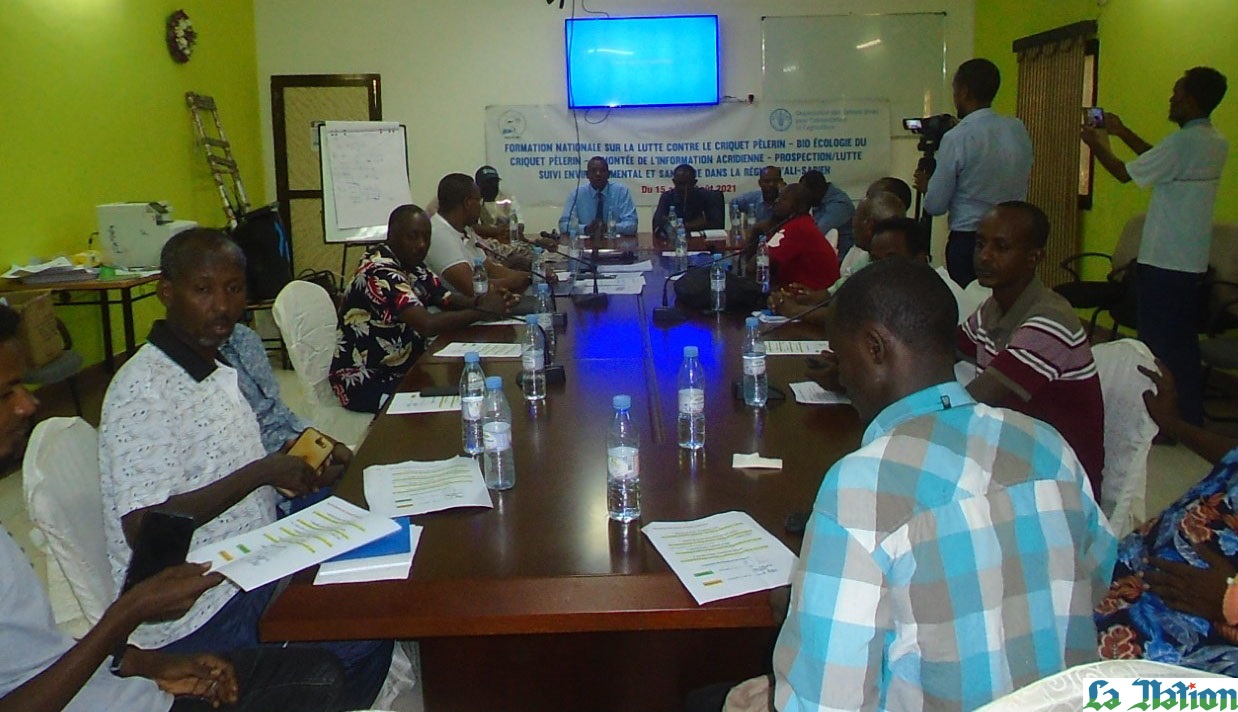 APPRENDRE à Reconnaitre ET IDENTIFIER CORRECTEMENT L’INSECTE POUR UNE LUTTE ANTIACRIDIENNE EFFICACE ET EFFICIENTE