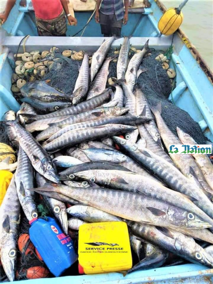 Activité de pêche illégale