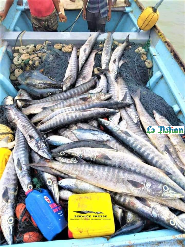 Fait divers: Activité de pêche illégale