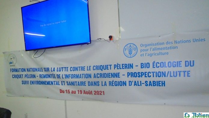 Ali-Sabieh Atelier de formation nationale sur la lutte antiacridienne (1)
