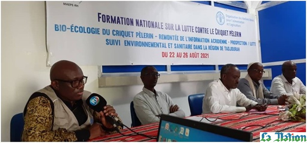Formation nationale sur la lutte contre le criquet pèlerin