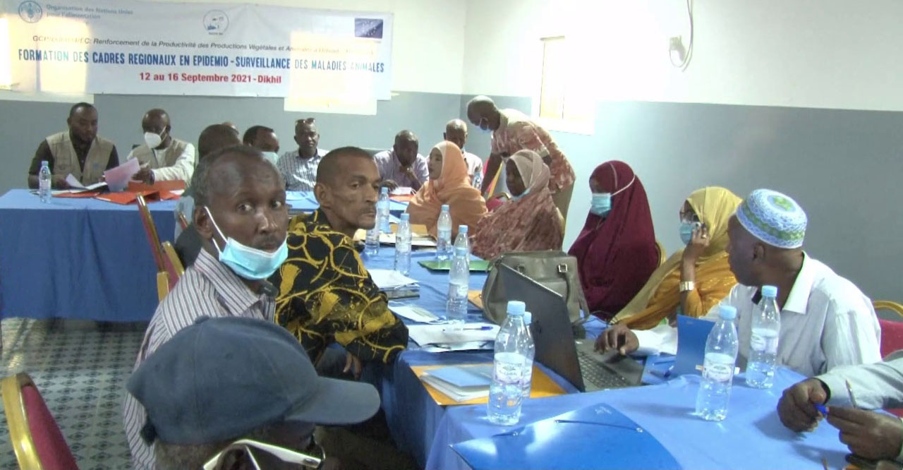 Formation en épidémio-surveillance des maladies animales aux cadres régionaux de Dikhil