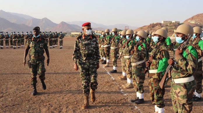 Le CEMGA inspecte le bataillon interarmes d’Ali-Sabieh (3)
