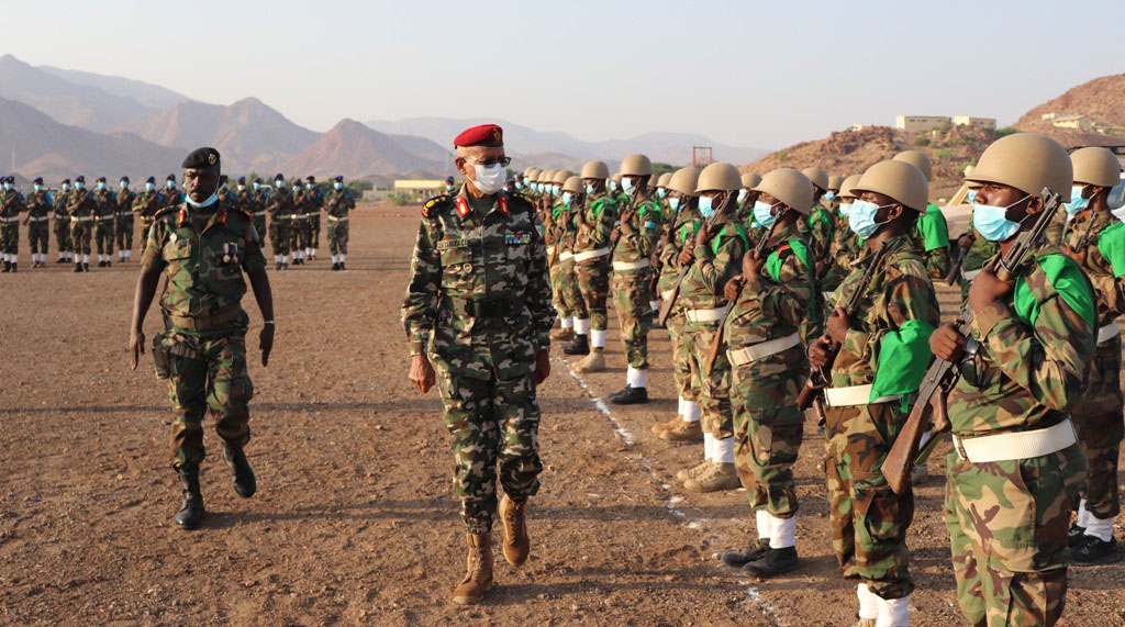 Le CEMGA inspecte le bataillon interarmes d’Ali-Sabieh