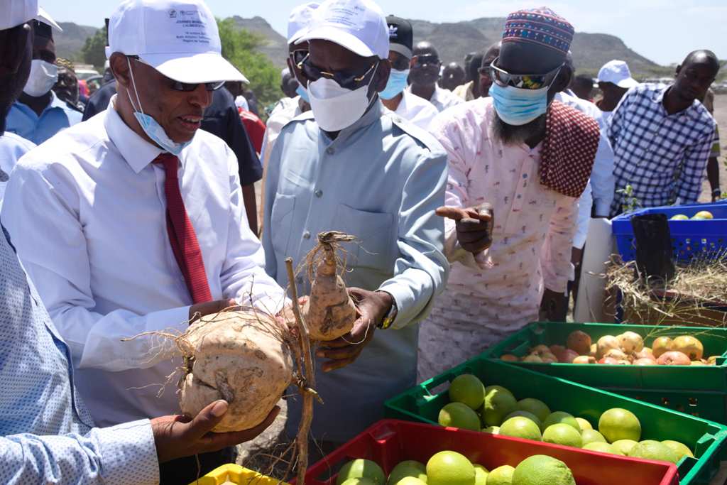 CÉLÉBRATION DE LA JOURNÉE MONDIALE DE L’ALIMENTATION À DJIBOUTI SOUS LE HAUT PATRONAGE DU PREMIER MINISTRE ABDOULKADER KAMIL MOHAMED