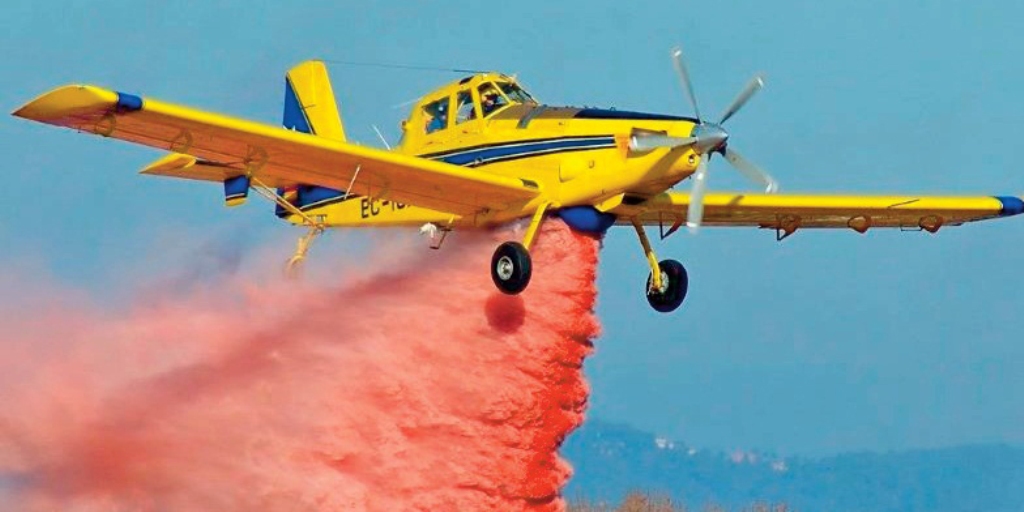 Djibouti intensifie ses efforts de lutte contre l'invasion des criquets pèlerins