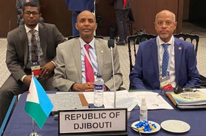 Djibouti participe à la 8ème conférence