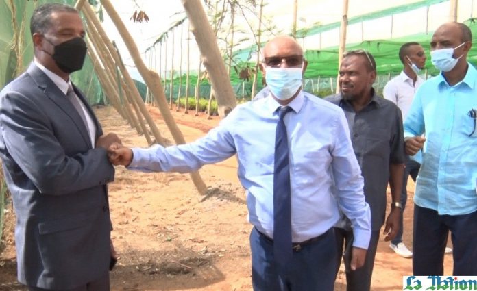 Remise de 40 000 plants d’arbres au ministère de l’agriculture (1)