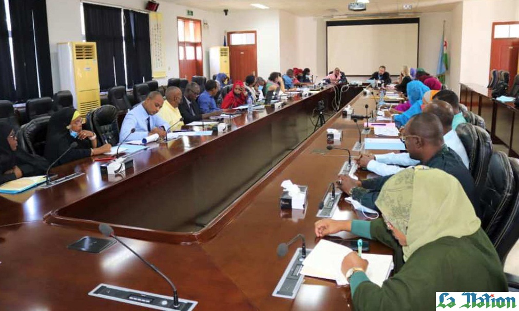 MFF - 2ème réunion du comité de pilotage du programme FEMFI