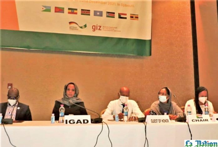 Plateforme d'appui de l'IGAD sur le processus de Nairobi (2)